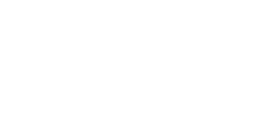 Handi